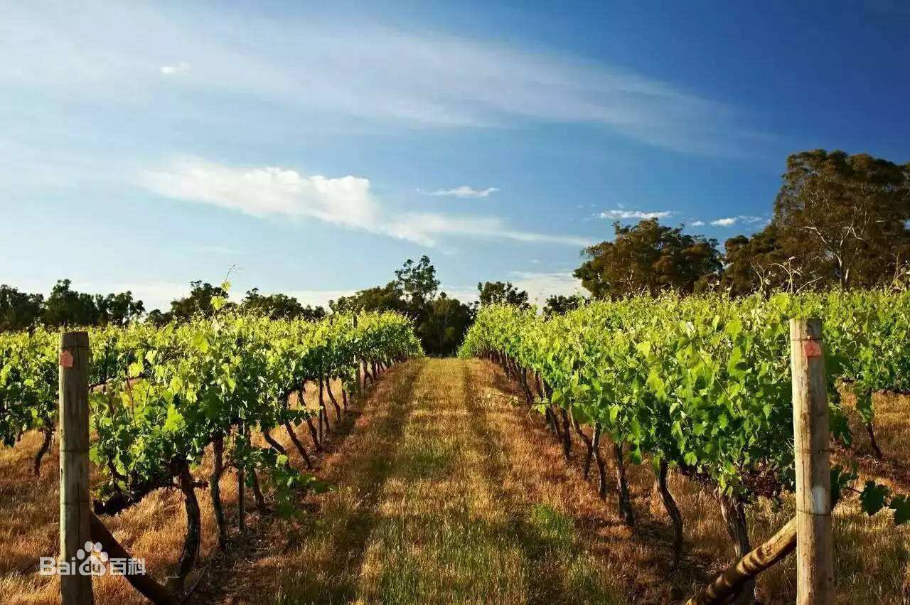 Best Way to Do Eco and Agriculture